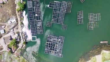 Balıkçı kafesinin yukarıdan görünüşü. Batur Gölü balık çiftliğinde batık bambu kafesleriyle dolu.