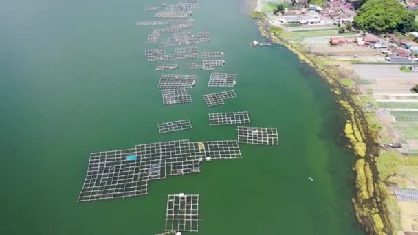 Pohled shora dolů na rybářskou klec. Krásné jezero Batur plné čtvercových ponořených bambusových klecí na rybí farmě — Stock video