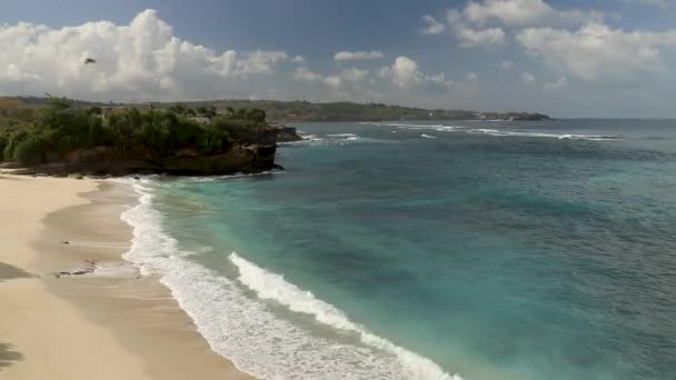 A white seagull hover soaring in the summer blue sky, bird flying in sky over coast of Indian ocean — Stock Video