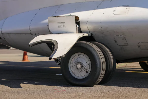 Uçaktaki tekerlek ve bagaj ambarının portresi..