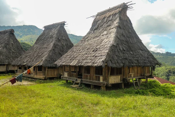 Drei Traditionelle Häuser Dorf Wologai Der Nähe Von Kelimutu East — Stockfoto