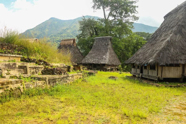 Три Традиційних Будинки Селі Вологай Поблизу Кремуту Східному Нуса Тенґгара — стокове фото