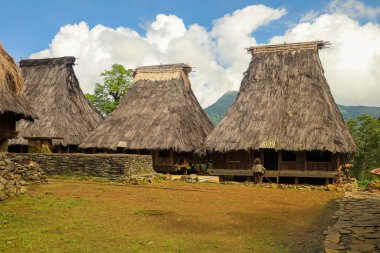 Wologai köyündeki geleneksel evlerin portresi Ende East Nusa Tenggara Nisan 2021 'de çekildi.