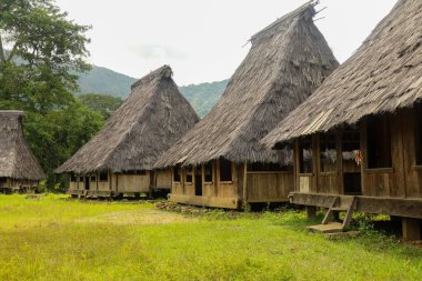 traditional houses in Wologai village standing on the beautiful green grass. Ende East Nusa Tenggara. April 2021. clipart