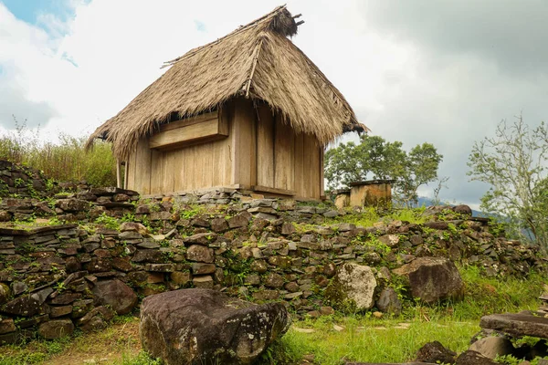 Традиційний Будинок Селі Вологай Іст Нуса Тенґгара Збудований Акуратно Розташованих — стокове фото