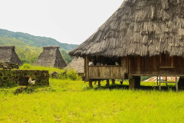 Traditionelle Häuser Dorf Wologai Die Auf Dem Schönen Grünen Gras — Stockfoto