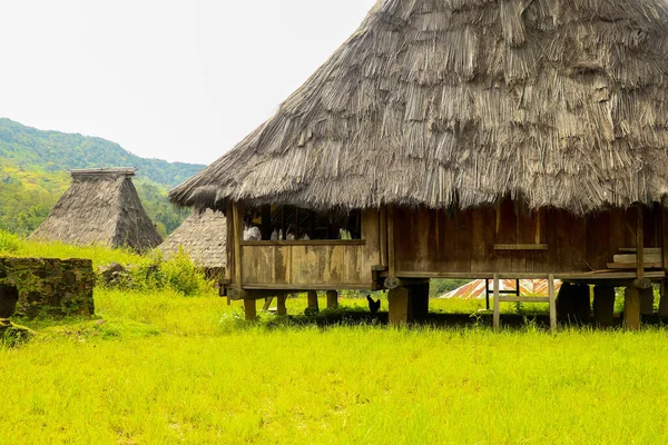 Traditionele Huizen Wologai Dorp Staan Het Prachtige Groene Gras Ende — Stockfoto