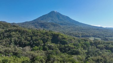 Yoğun tropikal ağaçlar, kusursuz mavi gökyüzünün altında canlı büyümeyi ve dramatik ölçekleri vurgulayan heybetli bir volkanın alçak yamaçlarını örtüyor..