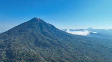 A majestic volcanic peak rises above a lush green forest, its slopes sharply defined against the clear blue sky in a stunning view of Flores beauty.