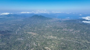 Close up aerial view of tropical palm trees and dense jungle, bathed in sunlight, showcasing vibrant greenery and thriving coastal flora in Indonesia.