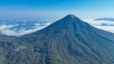 Palm trees extend across the tropical landscape in this close up aerial shot, highlighting the dense vegetation and natural beauty of coastal Indonesia.