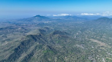 A breathtaking close up aerial panorama of green palm trees and jungle canopy immersed in sunlight, showing the rich, verdant ecosystem of Flores island.