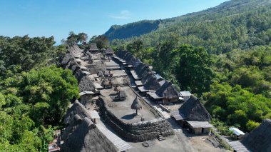 Kampung Bena megalitik mücevheri: Yükselen çatılar, yeşil ormanlar ve uzak tepeler tarafından çerçevelenmiş, atalarından kalma megalithlerle merkez plazayı hizaladı.
