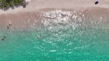 Komodo Pembe Sahili üzerinde, yüzücüler parlayan turkuaz su ile tropikal güneş altında parıldayan narin bir kıyı şeridi arasında sürüklenirler..