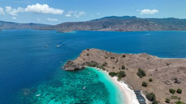 Yüzücüler Komodo Pembe Plajı 'nda neon mavisi sularda yüzerler. Kıyı şeridi güneşten kavrulmuş tepelerin altında bembeyaz gülden yumuşak gümüşe döner..