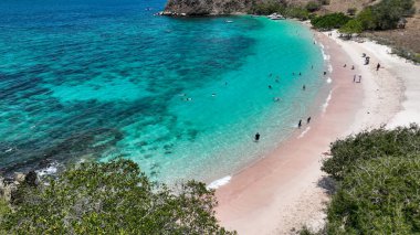 Komodo Adası 'ndaki Pembe Plaj manzarası mercan bahçeleri, deniz mavisi ve pembe bir kıyı şeridi mükemmel bir körfezde çarpışır..