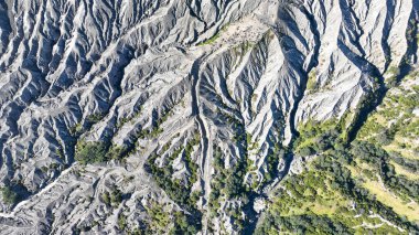 Bromo gri kül vadilerinin soyut hava dokuları derin vadilerle kesiliyor, canlı yeşillik parçaları çorak volkanik araziye meydan okuyor..