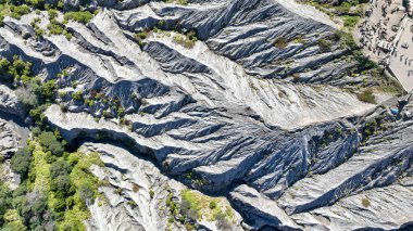 Bromo 'daki kül ve kaya sırtlarını kapatın. İzlerle ve yemyeşil bitki kümeleriyle dolu damarlar. Doğa heykelinin başyapıtını ortaya çıkarıyor..
