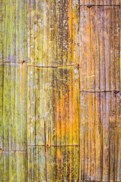 Uma foto de textura de bambu — Fotografia de Stock