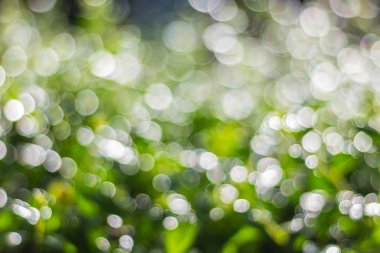 Yeşil bokeh, kullanım için arka plan olarak bir fotoğraf