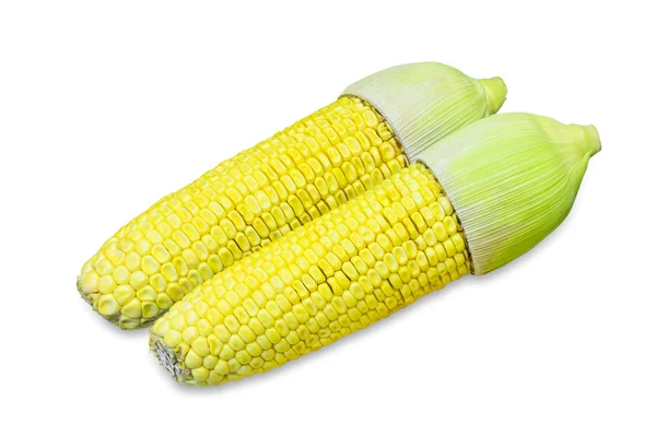 Two yellow corn — Stock Photo, Image