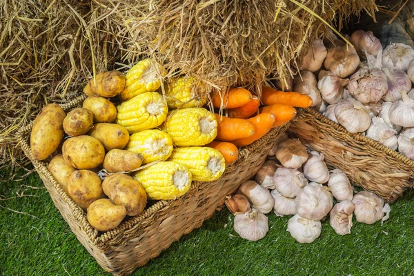 Potato corn and carrot a wicker basket — Stock Photo, Image