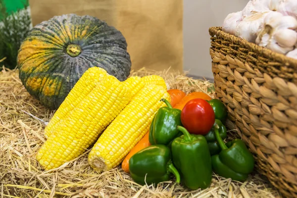 Vegetables on straw — Stock Photo, Image