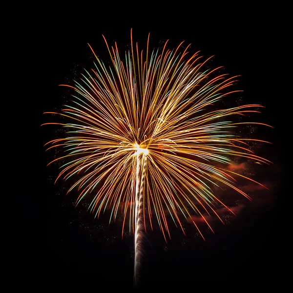 Firework — Stock Photo, Image