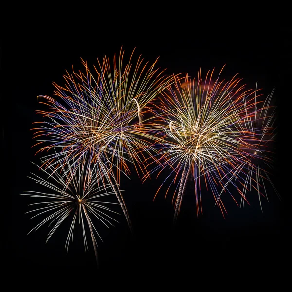 Firework — Stock Photo, Image