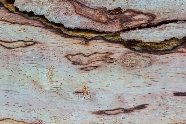 Wood texture — Stock Photo, Image