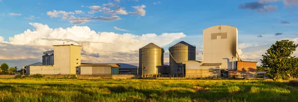 Rice mill Panorama — Stockfoto