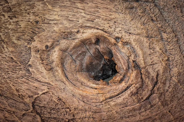 Textura de madera Knar y vieja — Foto de Stock