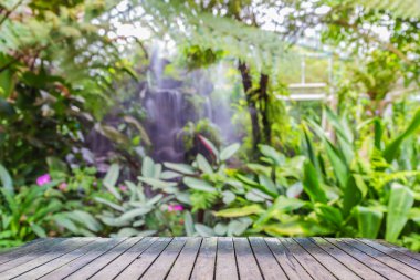 Yağmur ormanlarında ahşap tahta