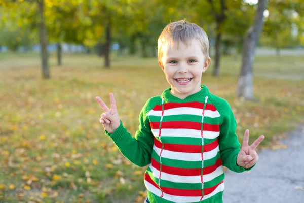 Porträt eines lächelnden fünfjährigen Jungen — Stockfoto