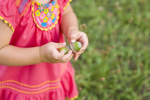 Acorns in the hands of a little girl — Stockfoto