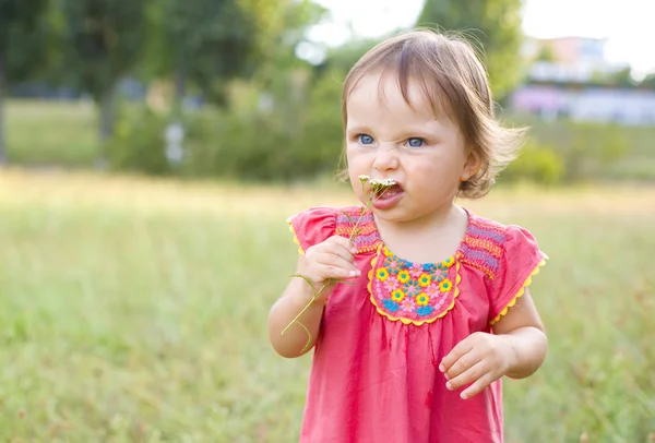 Portrait of the little girl with a field flower — Stock fotografie