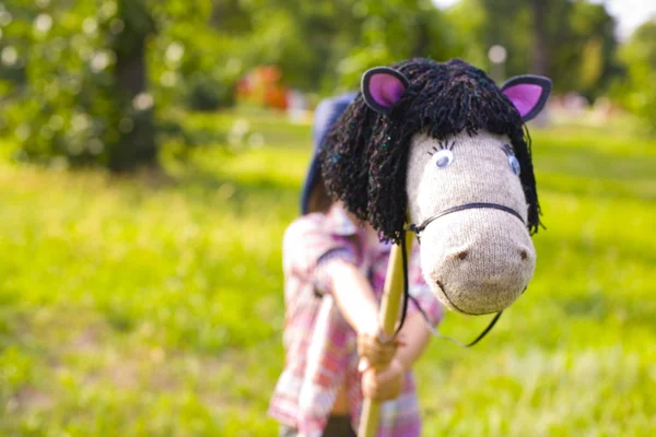 Paard op een stokje — Stockfoto