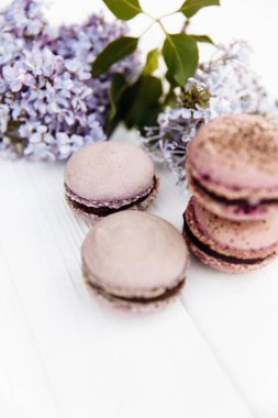 Beyaz arka planda makarna ya da makarna pastası, renkli makaronlar, pastel renkler, klasik kart, üst manzara. 