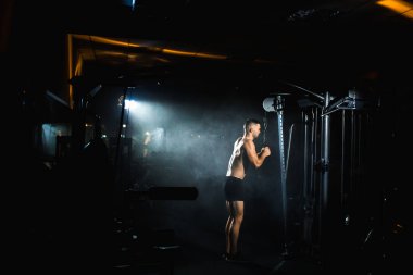 Spor salonunda spor yapan kaslı bir adam trisepste dambıllarla egzersiz yapıyor, güçlü erkek çıplak gövde kasları, spor salonunda kol kasları egzersizi yapan bir atlet. Yüksek kalite fotoğraf