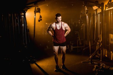 Genç kaslı adam spor salonundaki kol kaslarını gösteriyor. - Evet. Yüksek kalite fotoğraf