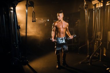 Spor salonunda spor, kolların kasları, pazılar, pazılar için egzersiz. - Evet. Yüksek kalite fotoğraf