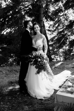 Yeni evliler ormanda sarılırlar, orman düğünleri, doğada bir tatil. Yüksek kalite fotoğraf