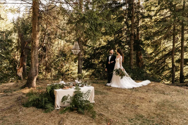 Beautiful loving couple of newlyweds in the forest, wedding in nature. High quality photo