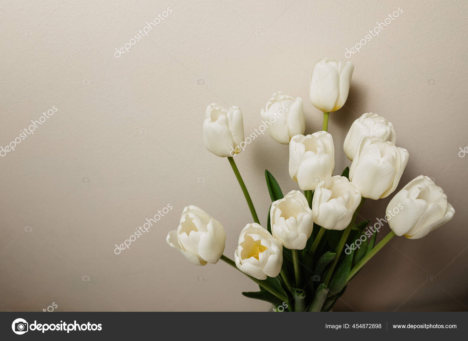 白色新鲜郁金香花束 顶视图 休憩空间 3月8日女性假日 图库照片 C Familyshunevich Gmail Com 白色新鲜郁金香花束 顶视图 休憩空间 3月8日女性假日 图库照片 C Familyshunevich Gmail Com