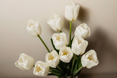 Beyaz taze lale buketi, üst manzara, boş yer, 8 Mart bayramı