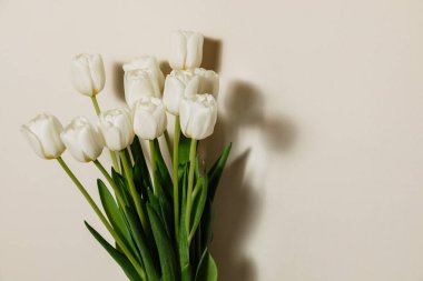 8 Mart bayramında kadınlar için beyaz, taze laleler, arka planda izole edilmiş, bir buket bahar çiçeği.