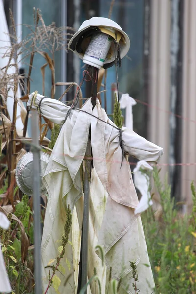 Scarecrow — Stock Photo, Image