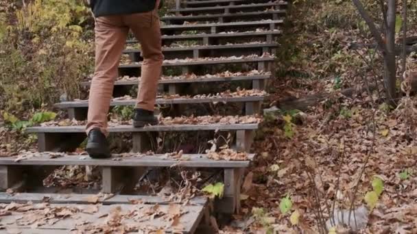 Ноги крупним планом сходи повільно рухаються відео. осіннє жовте листя. Чоловічі ноги в класичному взутті в міському парку — стокове відео