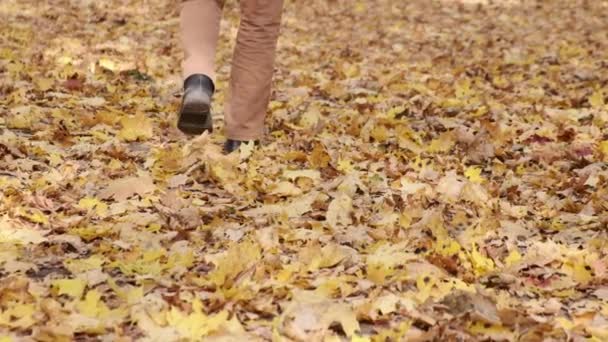 Láb sétál a földön lassított felvételen. Őszi sárga lombozat. Férfi láb klasszikus cipőben egy városi parkban — Stock videók