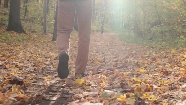 Nogi na ziemi spowolnione wideo. jesienno-żółte liście. Stopy męskie w klasycznych butach w parku miejskim — Wideo stockowe